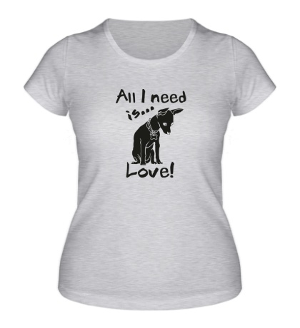 Женская футболка All i need is love