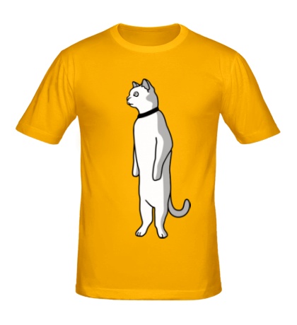 Мужская футболка Кот за задних лапах
