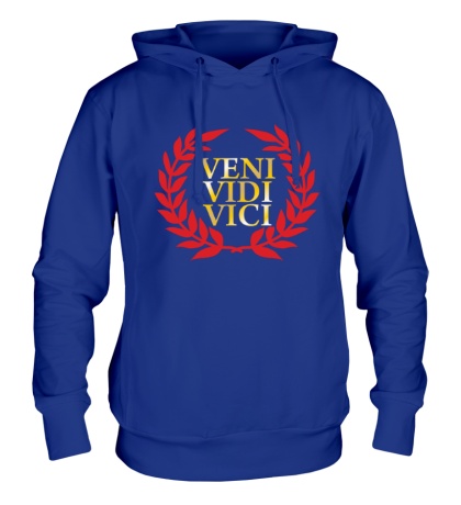 Толстовка с капюшоном «Veni vidi vici»