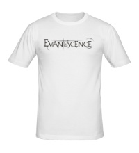 Мужская футболка Evanescence