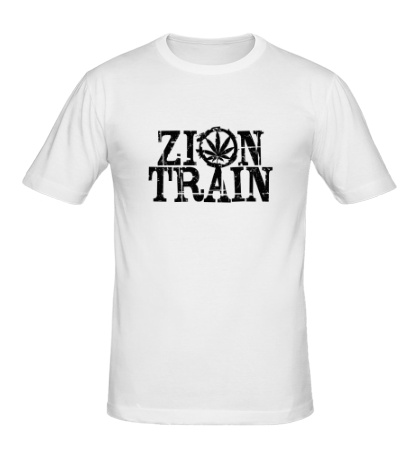 Мужская футболка Zion Train