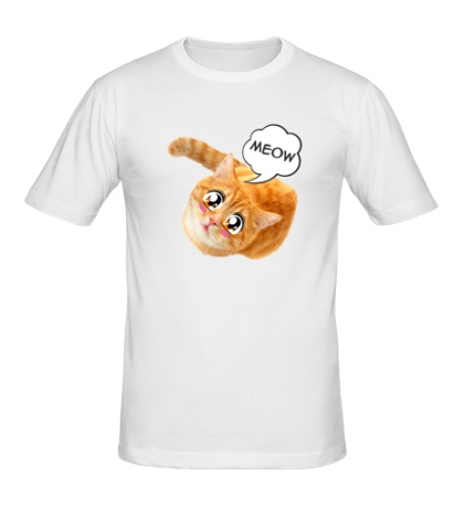 Мужская футболка Глазастая кошка