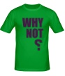 Мужская футболка «Why not» - Фото 1