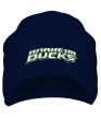 Шапка «HC Anaheim Ducks Sign» - Фото 1