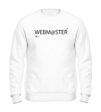 Свитшот Pro Webmaster