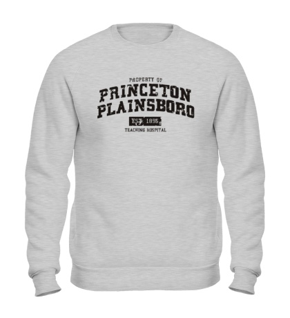 Свитшот Princeton Plainsboro