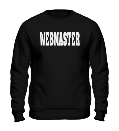 Свитшот «Webmaster»