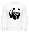 Свитшот «Панда в очках» - Фото 1
