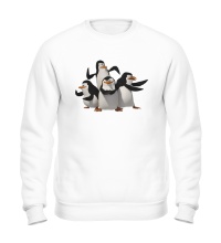 Свитшот Пингвины Мадагаскара