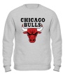 Свитшот «Chicago Bulls» - Фото 1