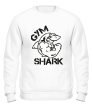 Свитшот «Gym Shark» - Фото 1