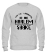 Свитшот «Harlem shake» - Фото 1