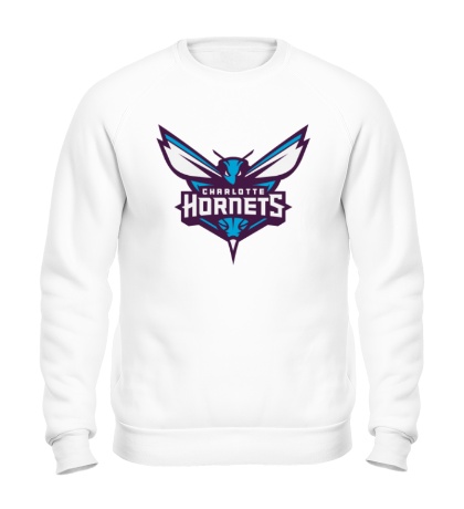 Свитшот Charlotte Hornets