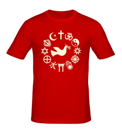 Мужская футболка Дружба религий свет