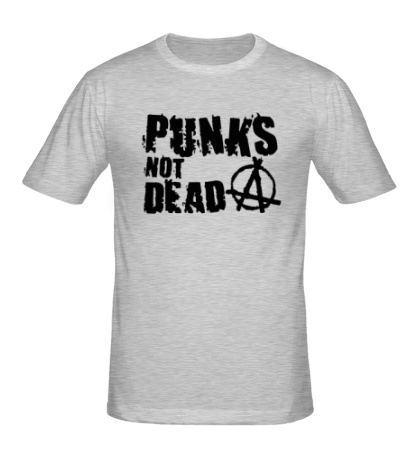 Мужская футболка Punk not Dead Anarchy