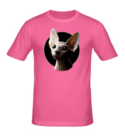 Мужская футболка Глазастый кот сфинкс