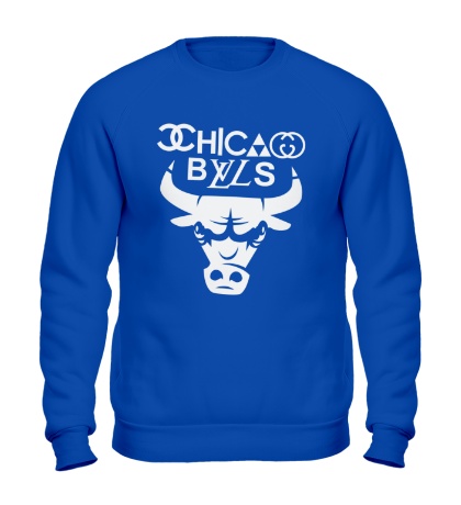 Свитшот Chicago Bulls fun logo