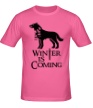 Мужская футболка «Winter is Coming: Dog» - Фото 1