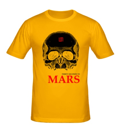 Мужская футболка «30 second to mars skull»