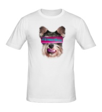 Мужская футболка Street Dog