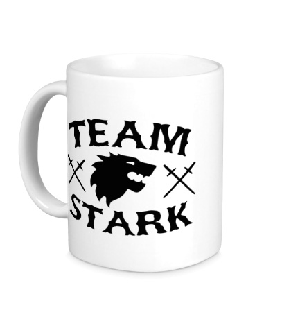 Керамическая кружка Team Stark
