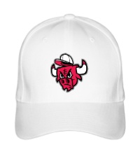 Бейсболка SWAG Chicago Bulls