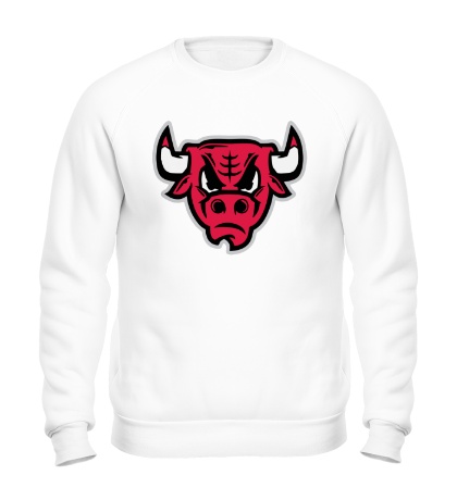 Свитшот Chicago Red Bulls