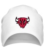 Шапка «Chicago Red Bulls» - Фото 1