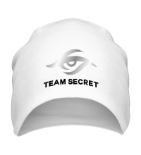 Шапка Team secret