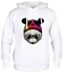 Толстовка с капюшоном «Панда в очках» - Фото 1