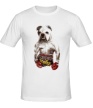 Мужская футболка «Пёс-боксёр» - Фото 1