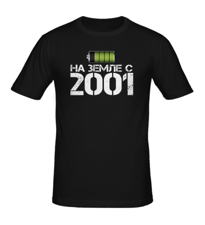 Мужская футболка На земле с 2001