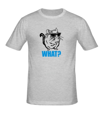 Мужская футболка «What Cat»