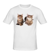 Мужская футболка Кошка и котёнок