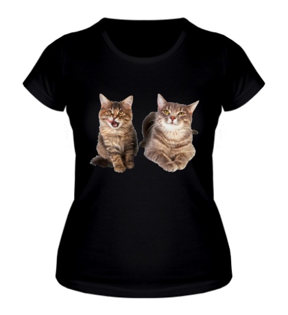 Женская футболка Кошка и котёнок