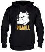 Толстовка с капюшоном «Pitbull» - Фото 1