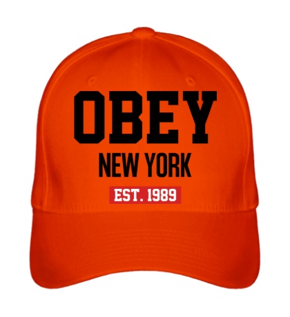 Бейсболка Obey Est. 1989