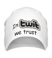 Шапка In twit we trust