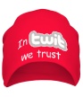 Шапка «In twit we trust» - Фото 1