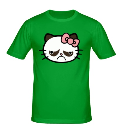 Мужская футболка Обиженная кошка