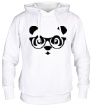 Толстовка с капюшоном «Мордашка панды в очках» - Фото 1