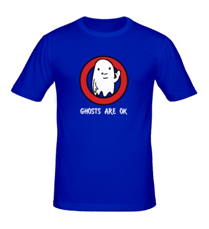 Мужская футболка «Привидение это нормально»